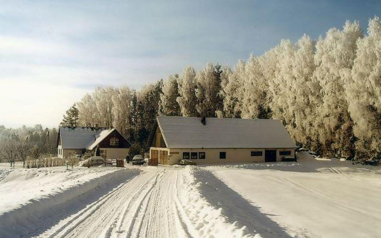Mäe Talu