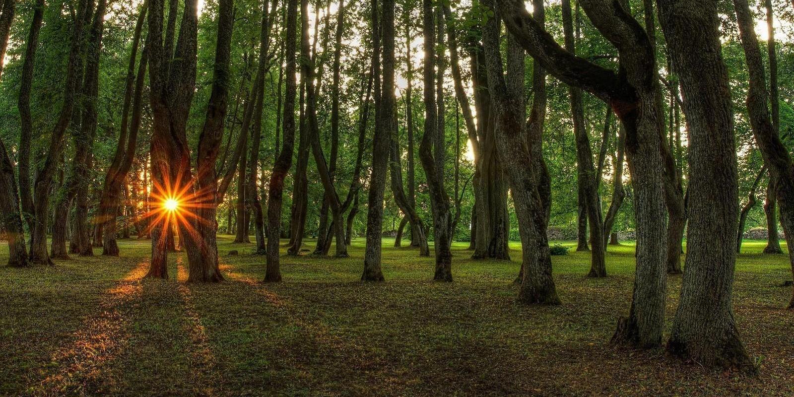 Luke mõis ja mõisapark