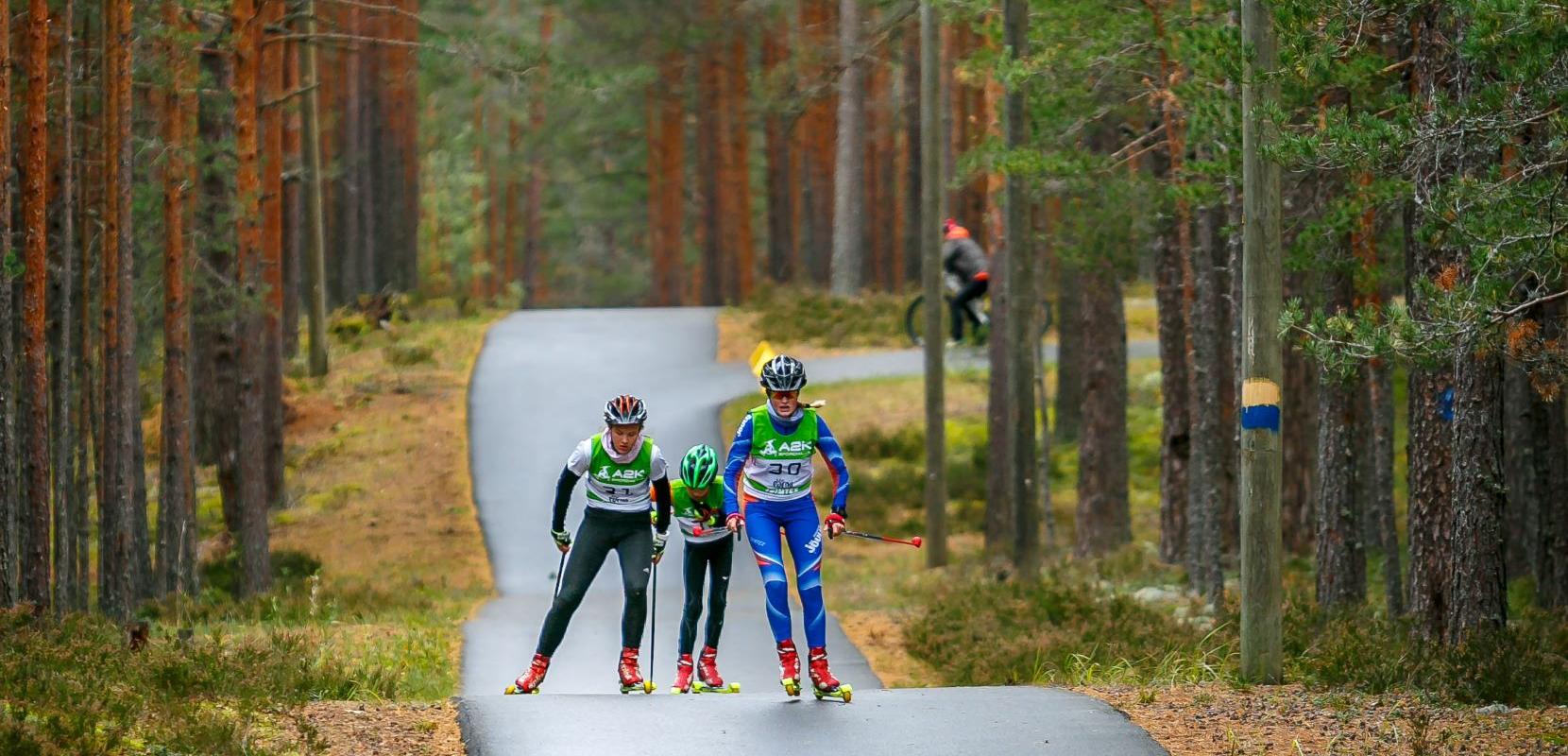 Jõulumäe Tervisespordikeskuse liikumisrajad