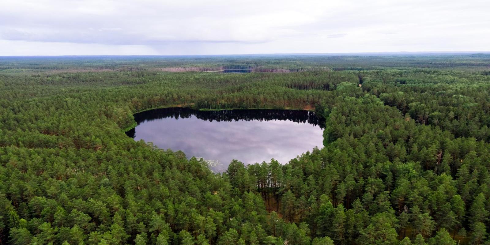 `Nohipalo Valgejärv` lake