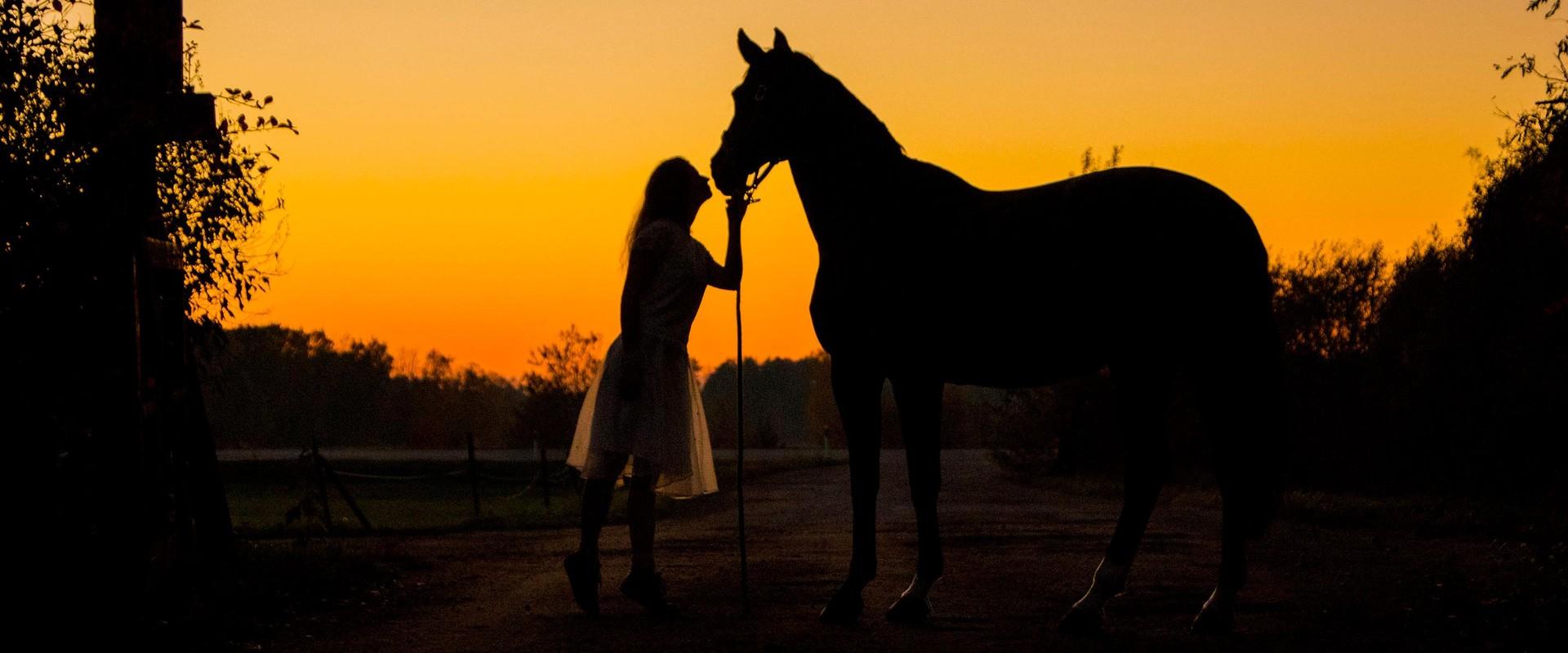 Unistuste fotosessioon koos ponidega ja ponisõit