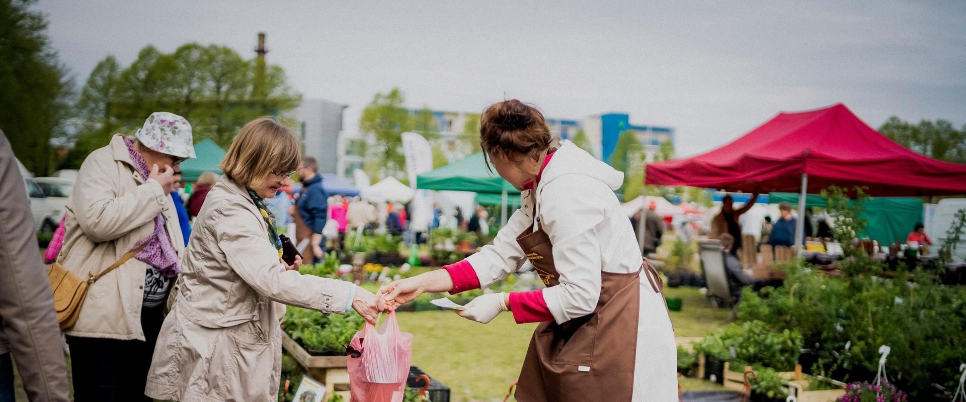Pflanzenjahrmarkt in Pärnu