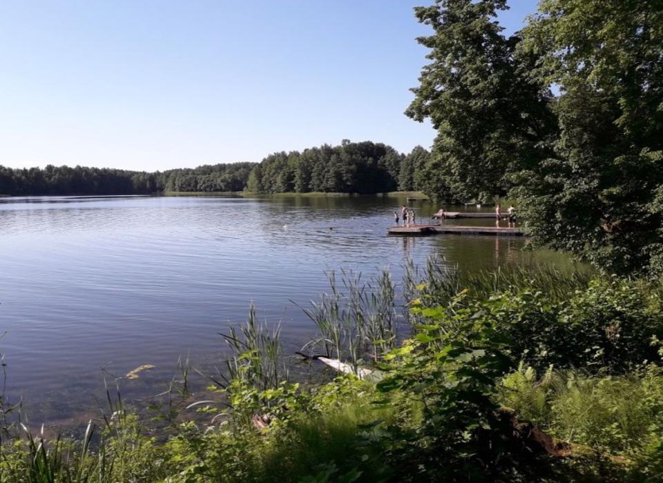 Strand des Sees Kiidjärve