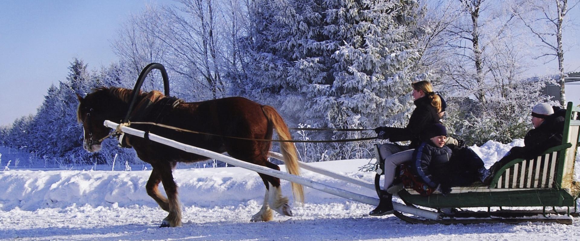 Hotelli Laagnan hevosvaunuajelua talvella
