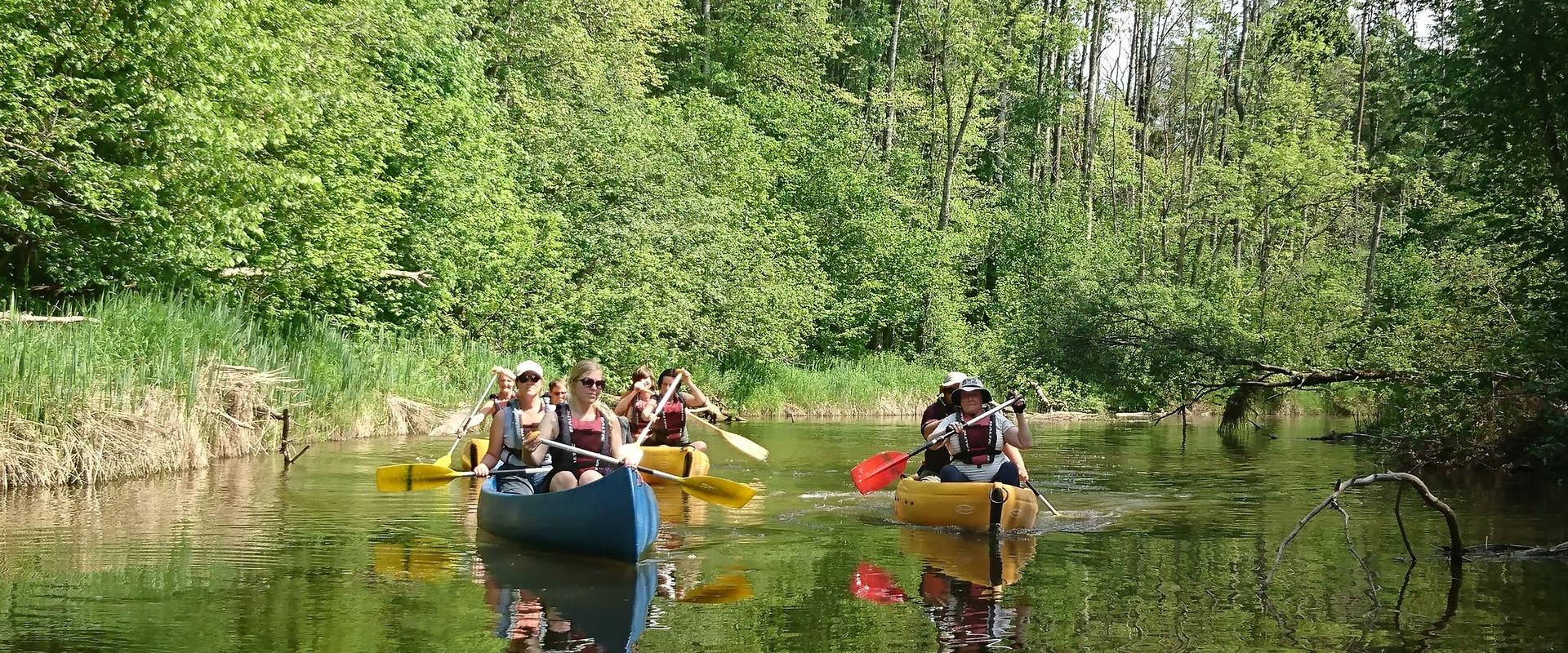 The best way to explore Soomaa National Park is going on a canoe trip! Canoeing is suitable for people of all ages, which means you can bring your who