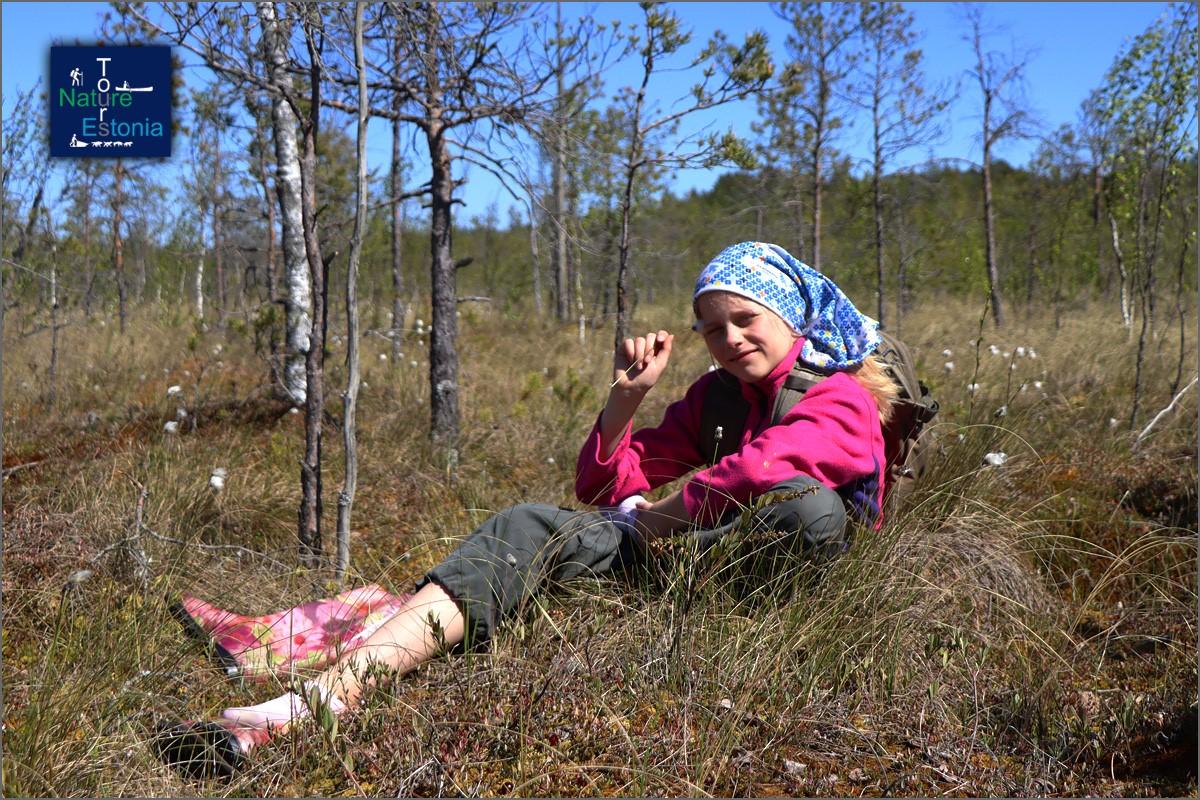 Nature Tours Estonia snowshoe trip to the bog islands of the Peipsiveere Nature Reserve