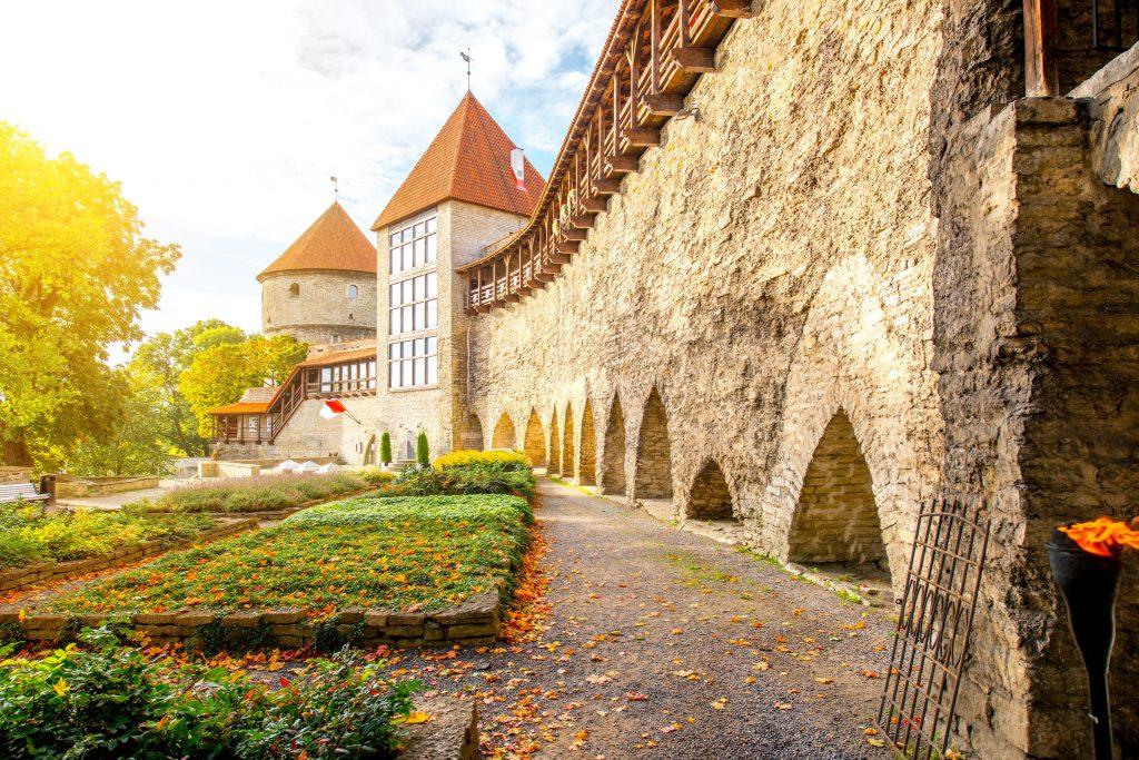 Tallinn family tour on foot and marzipan workshop