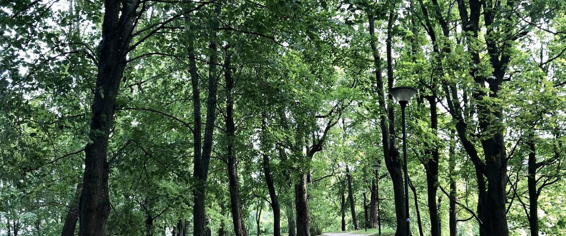 Toome Hill Park