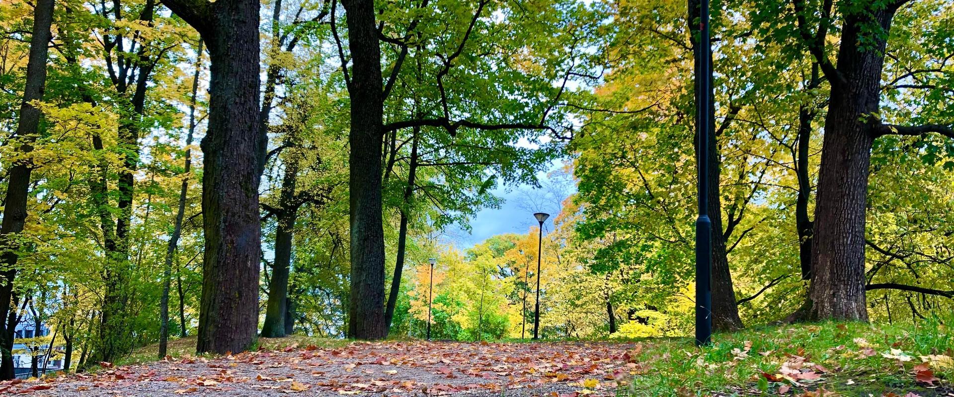 Der Park auf dem Domberg im Herbst