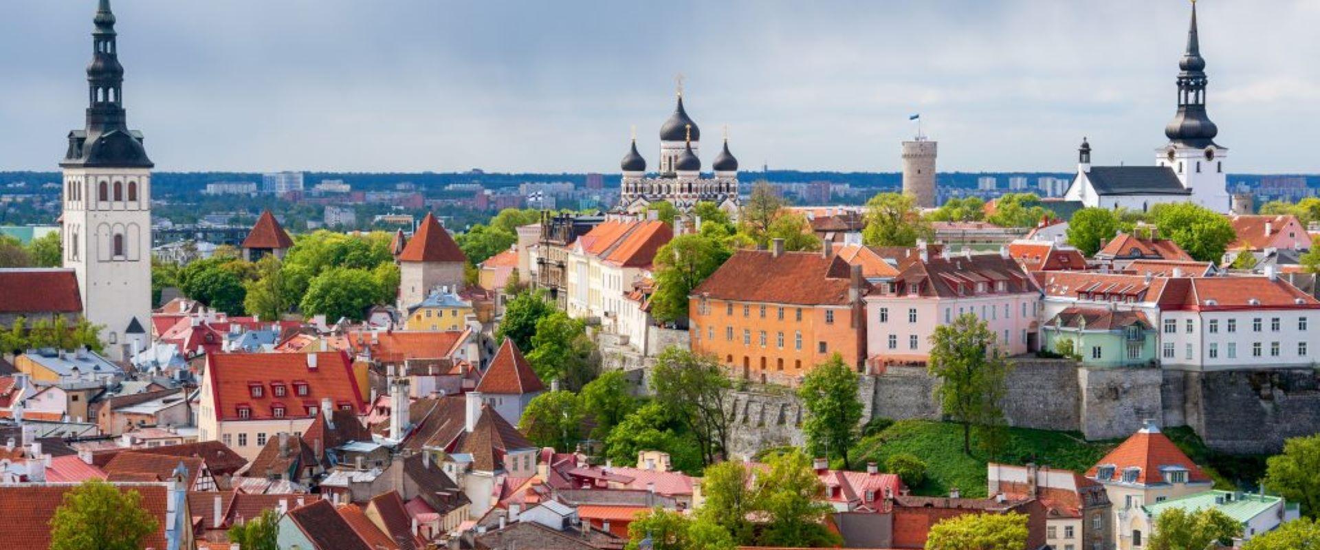 Guided walk in Tallinn Old Town and car tour in the Kadriorg–Pirita region