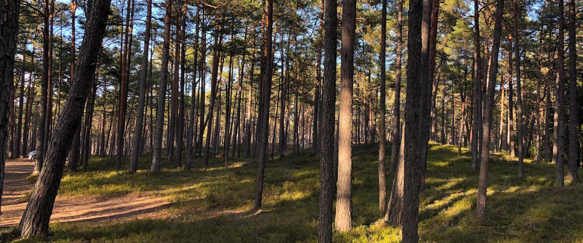 Naturschutzgebiet Nõva,  Erholungsbereich und Besuchszentrum der Staatlichen Forstverwaltung in Nõva