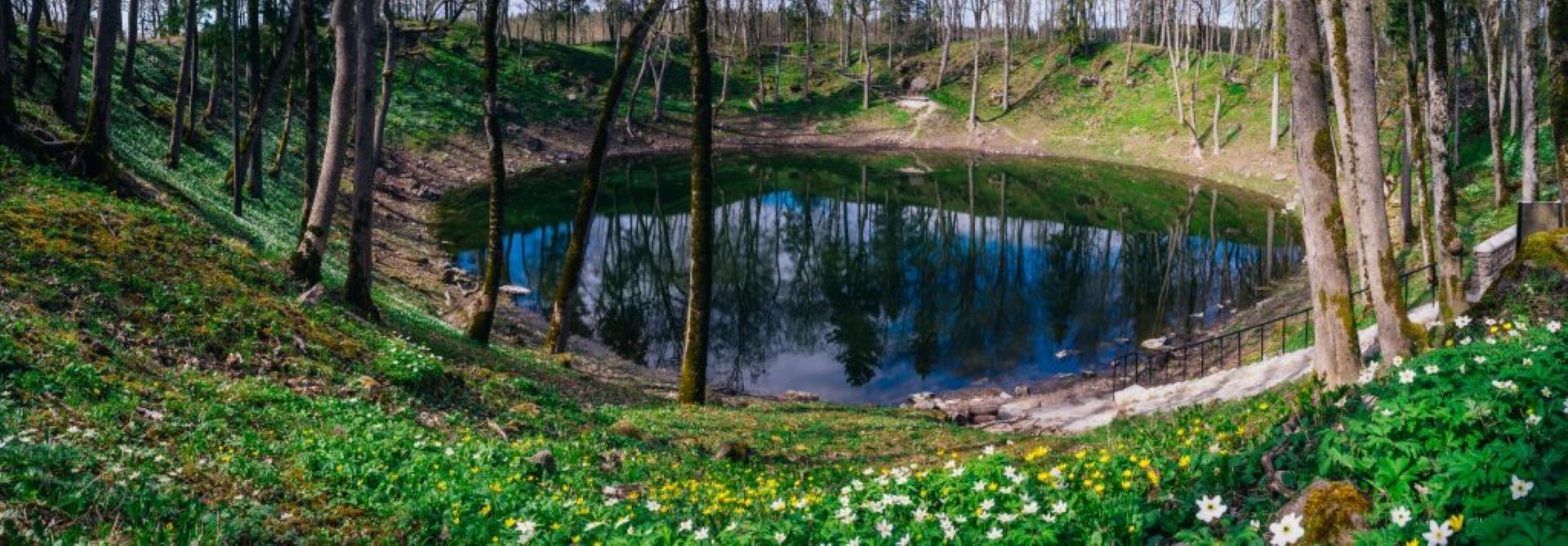 Muhu ja Saaremaa giidiga ekskursioon