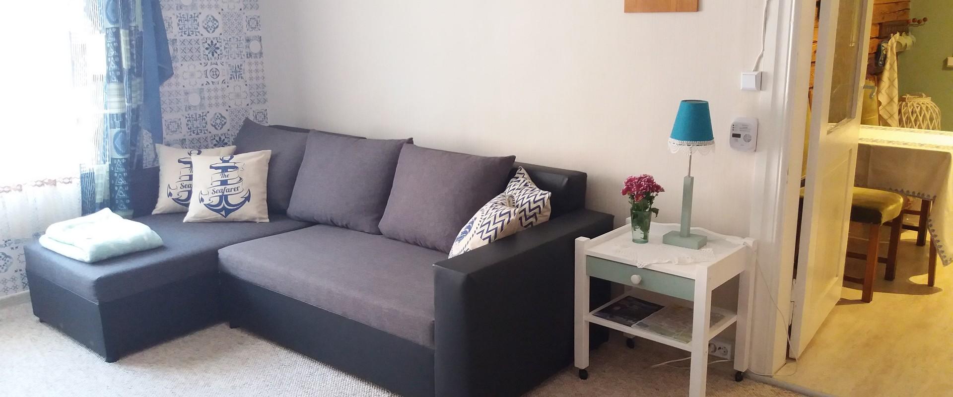 Viljandi Paadimehe Apartment