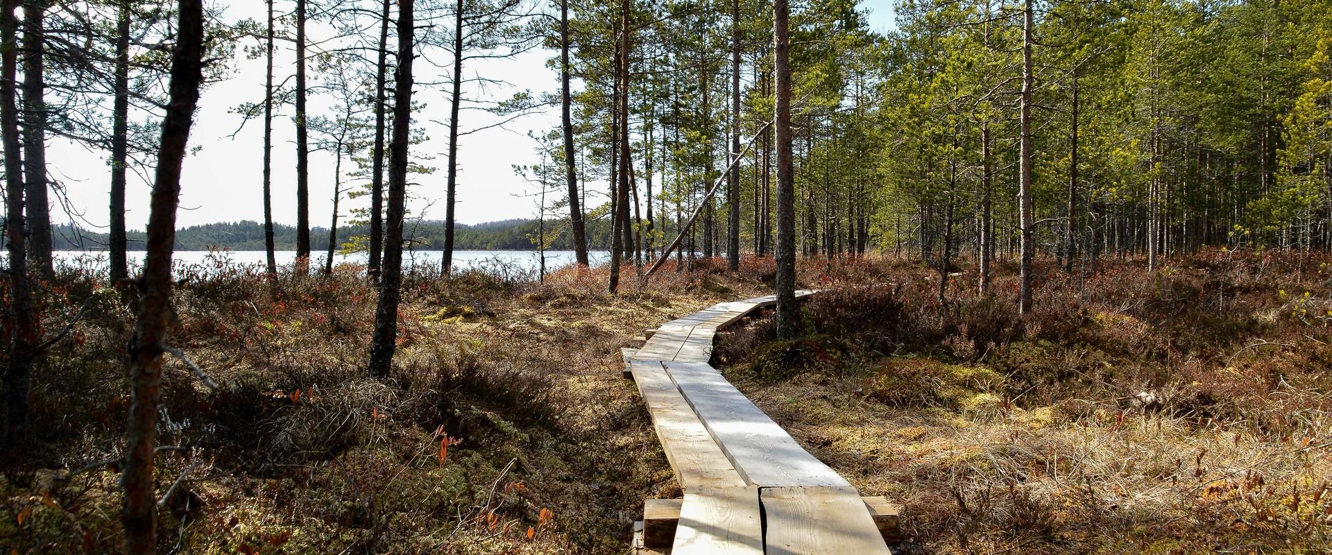 An dem auf dem Landschaftschutzgebiet von Kirikumäe gelegenen See kann man auf zwei markierten Naturpfaden wandern: der erste Pfad verläuft um den Kir