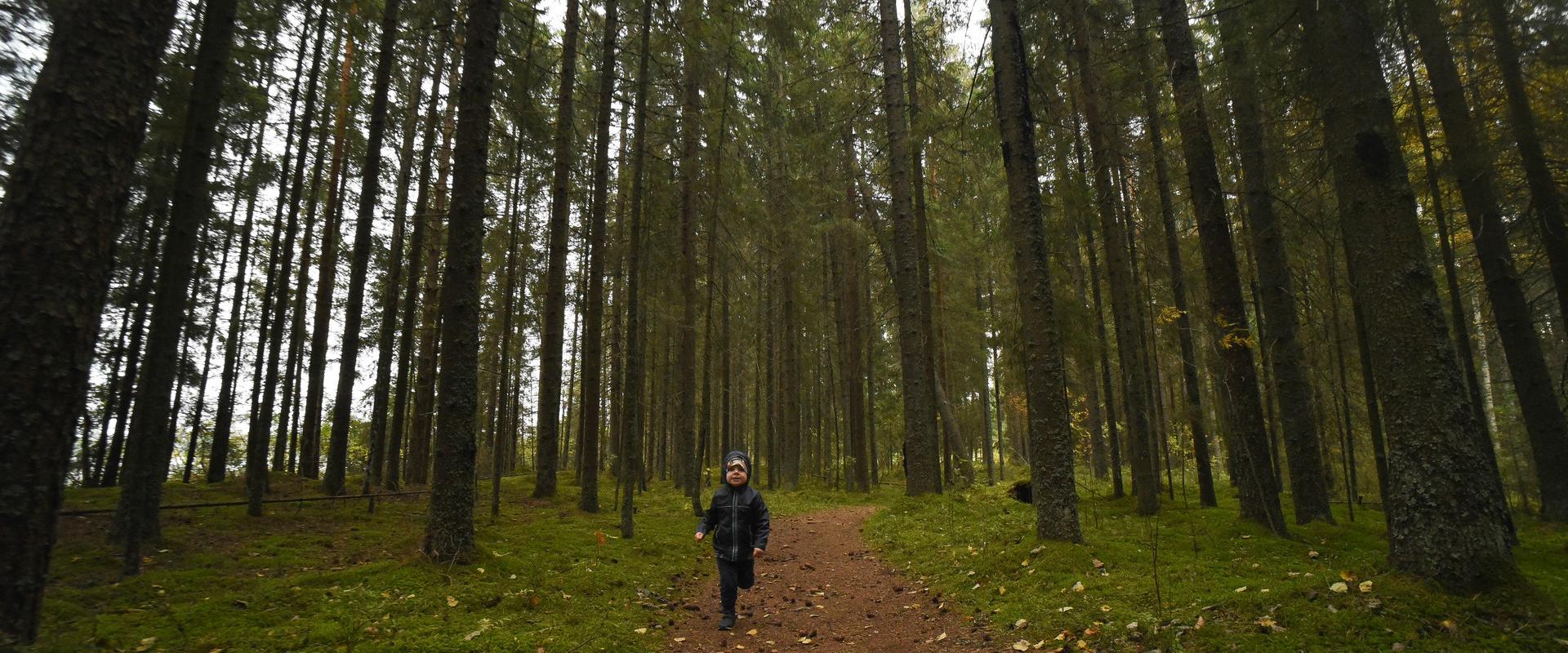 Pullijärve matkarada