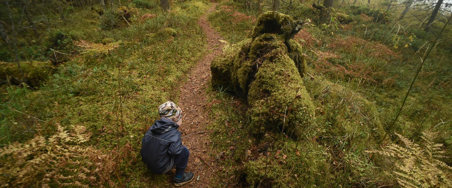 Pullijärve matkarada