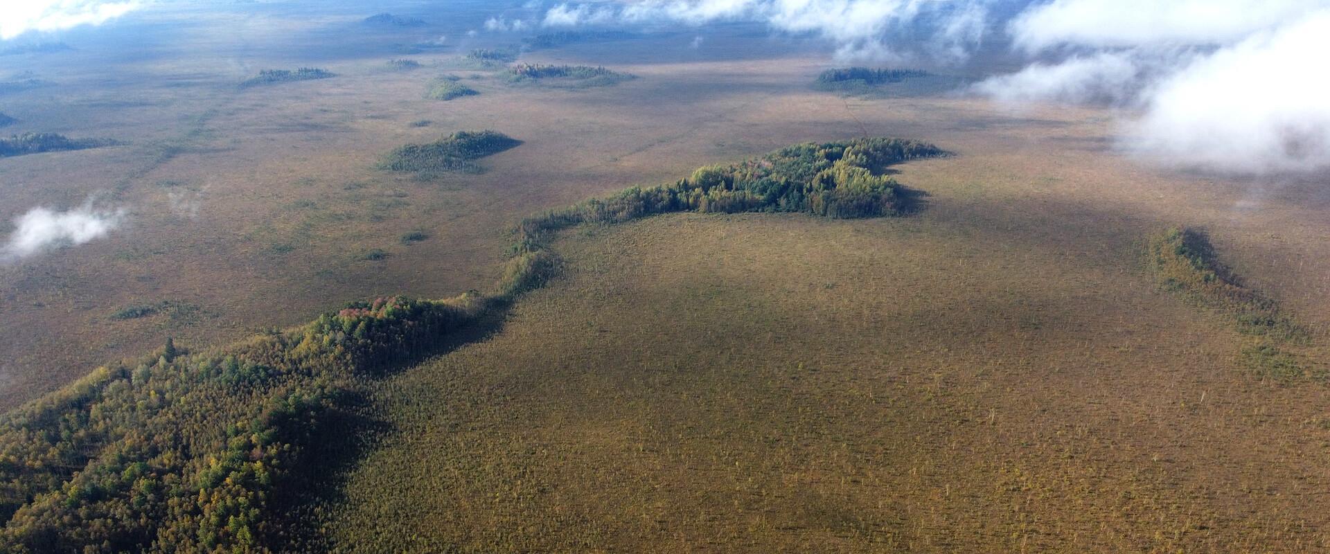 Nature Tours Estonia – Moorschuhausflug zu den Moorinseln des Naturschutzgebietes Peipsiveere