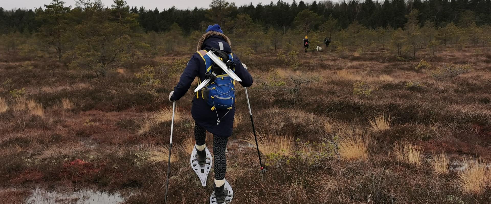 Bogshoeing in Rääma bog by Seikle Vabaks