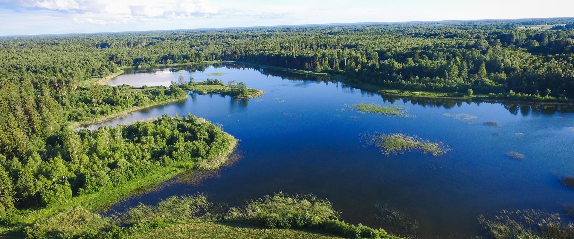 Eistvere järv