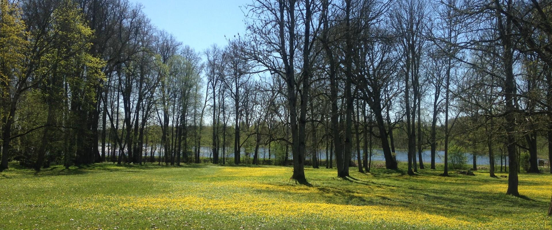 Eistvere mõisa park