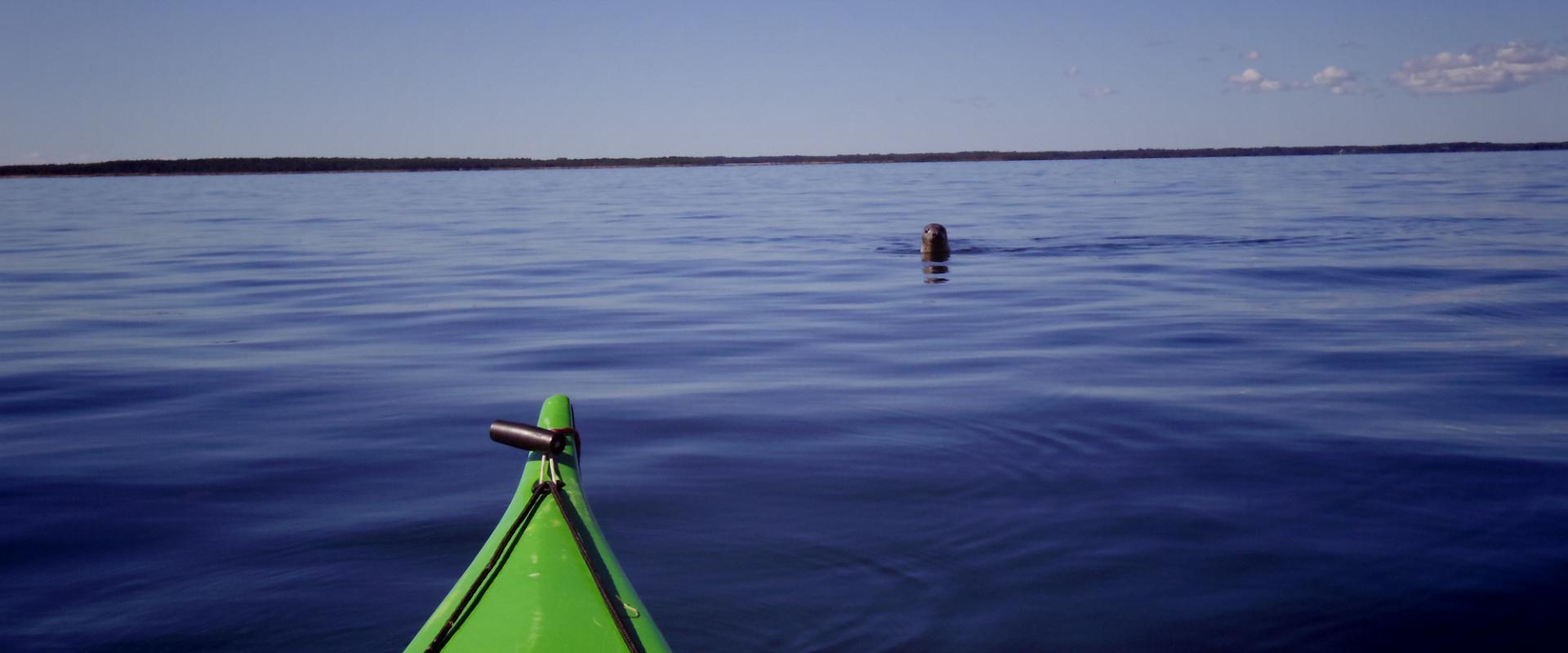 Kayak trip to the islet protection area in Hiiumaa