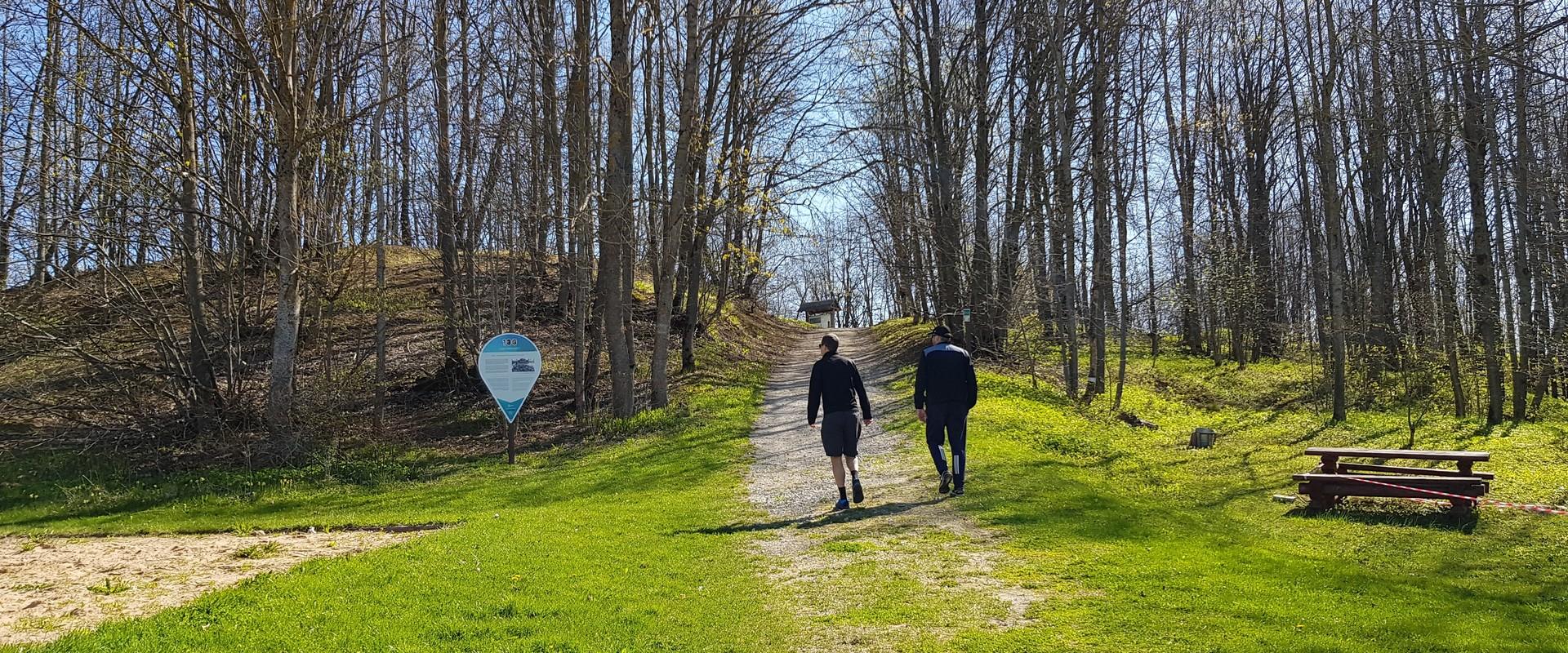 Sinimäed ja rada mäkke mööda metsateed