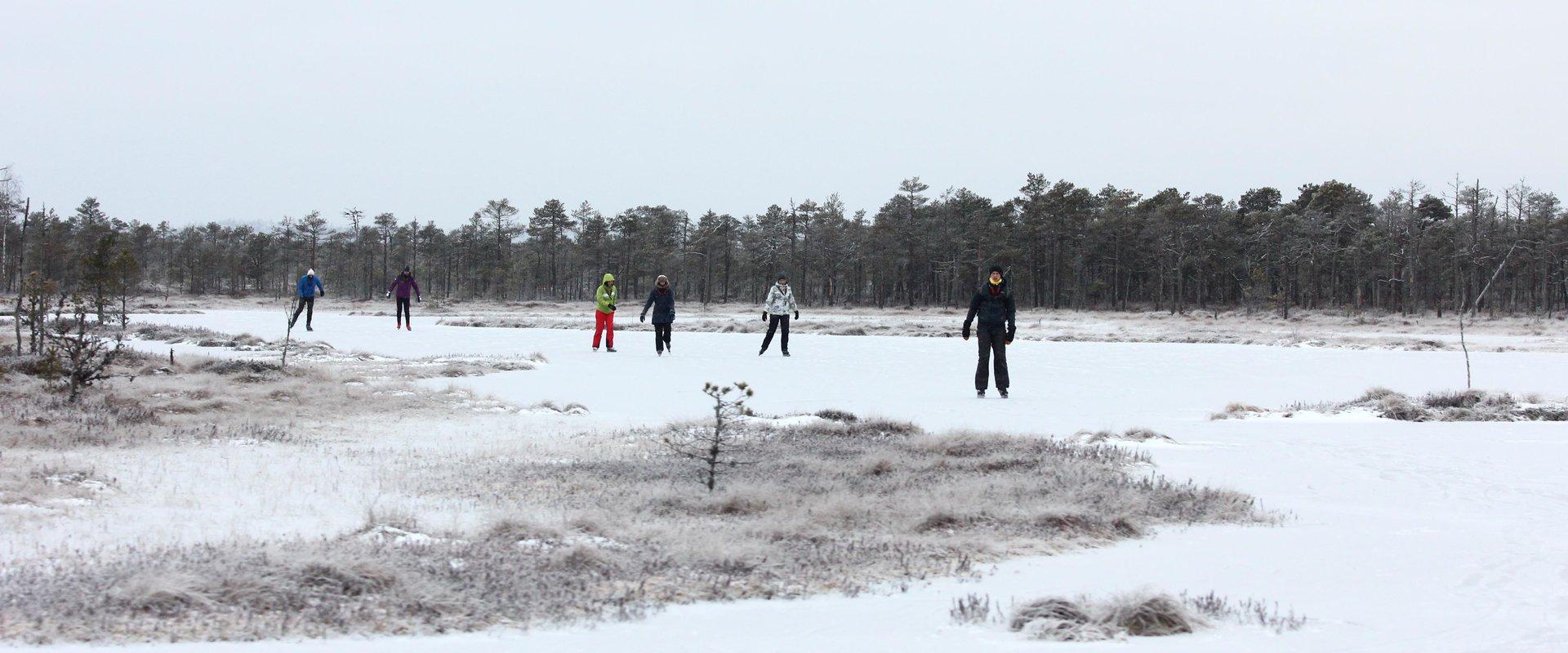 Ice skating on the bog-pools of Rubina Bog in the historical Mulgimaa