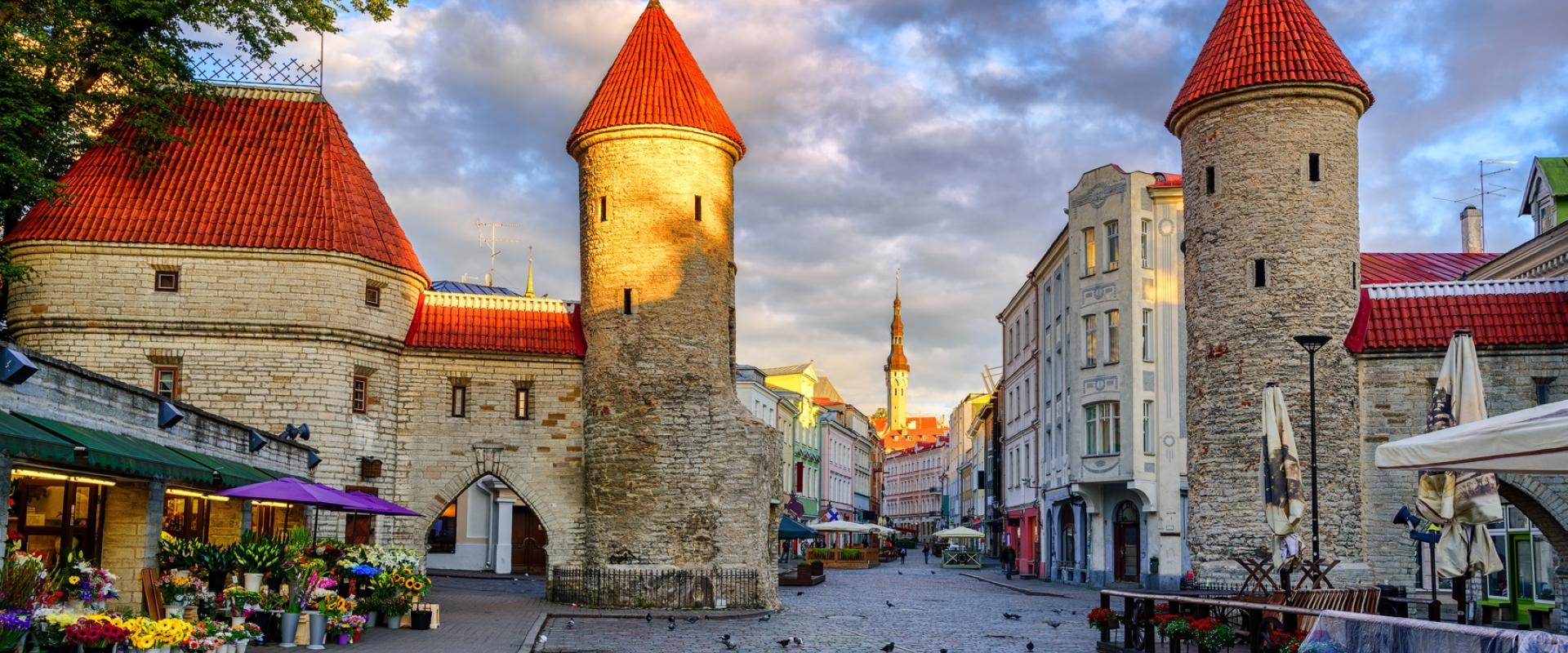 Weihnachtstour mit Stadtführer in Tallinn und Workshop zur Herstellung von Pfefferkuchen