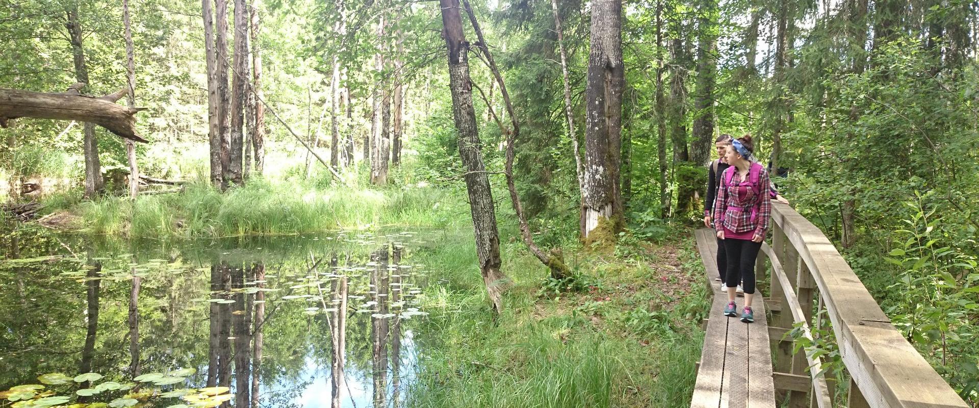 Beaver Trail in Soomaa National Park