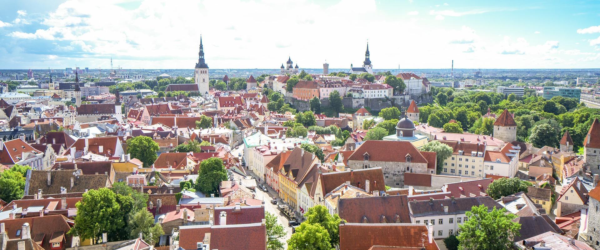 Guided tour of Tallinn Old Town and Kadriorg