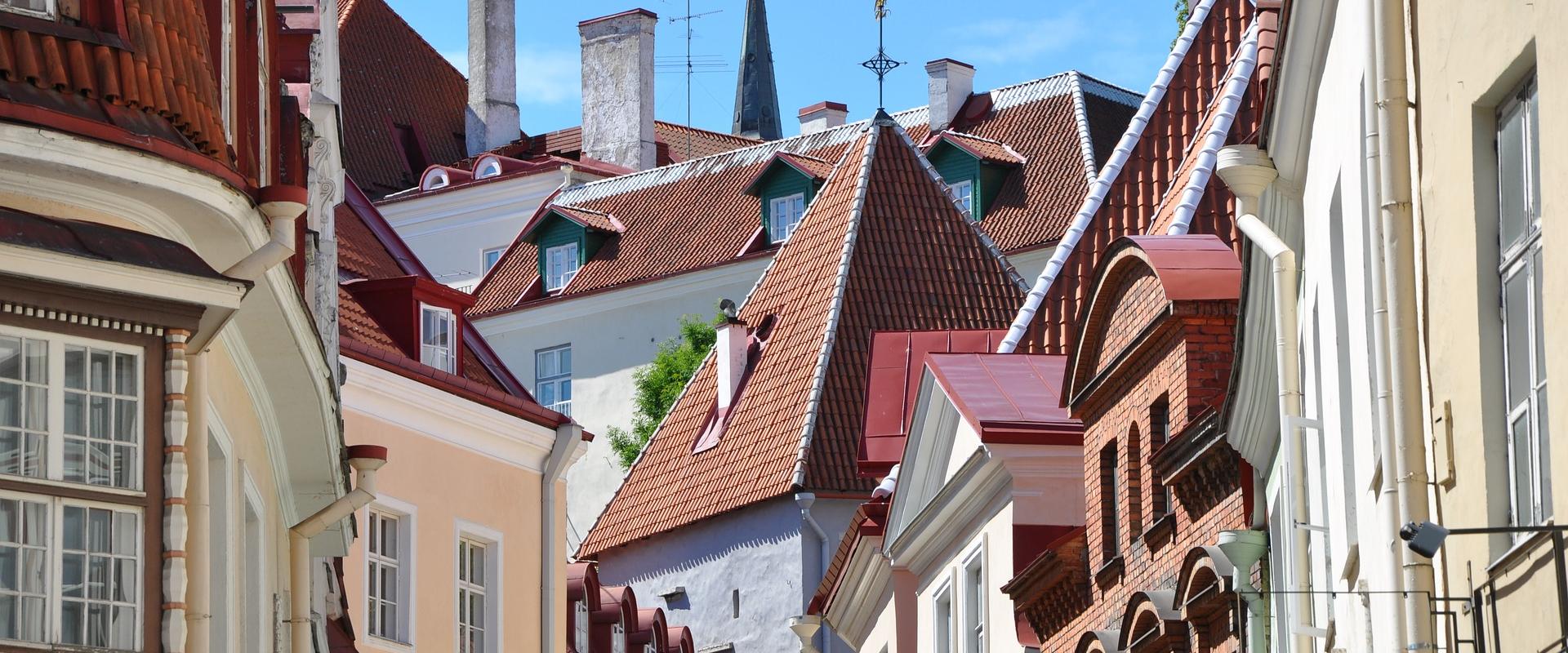 Guided tour of Tallinn Old Town and Kadriorg