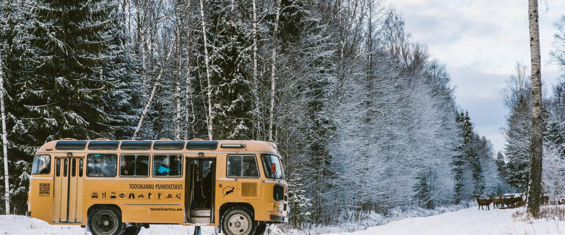 Metsäneläinten tarkkailua Toosikannun lomakeskuksessa