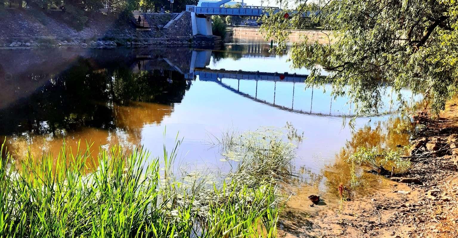 Vabaduse puiestiku park, Emajõgi, Kaarsild