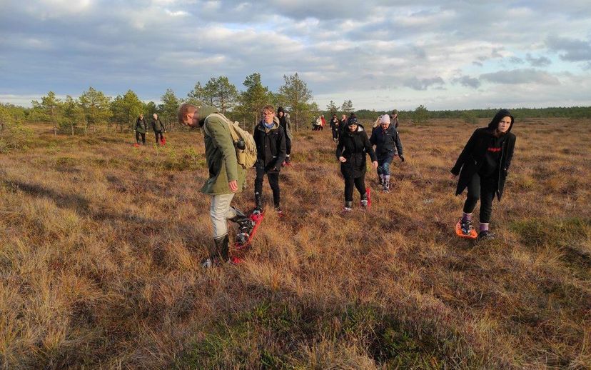 Järvesoo ja Savalduma soo räätsamatk loodusest hoolijatele