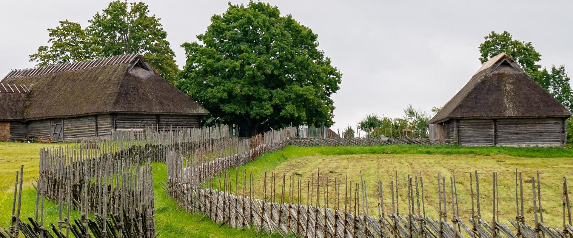 A.H. Tammsaare Museum in Vargamäe