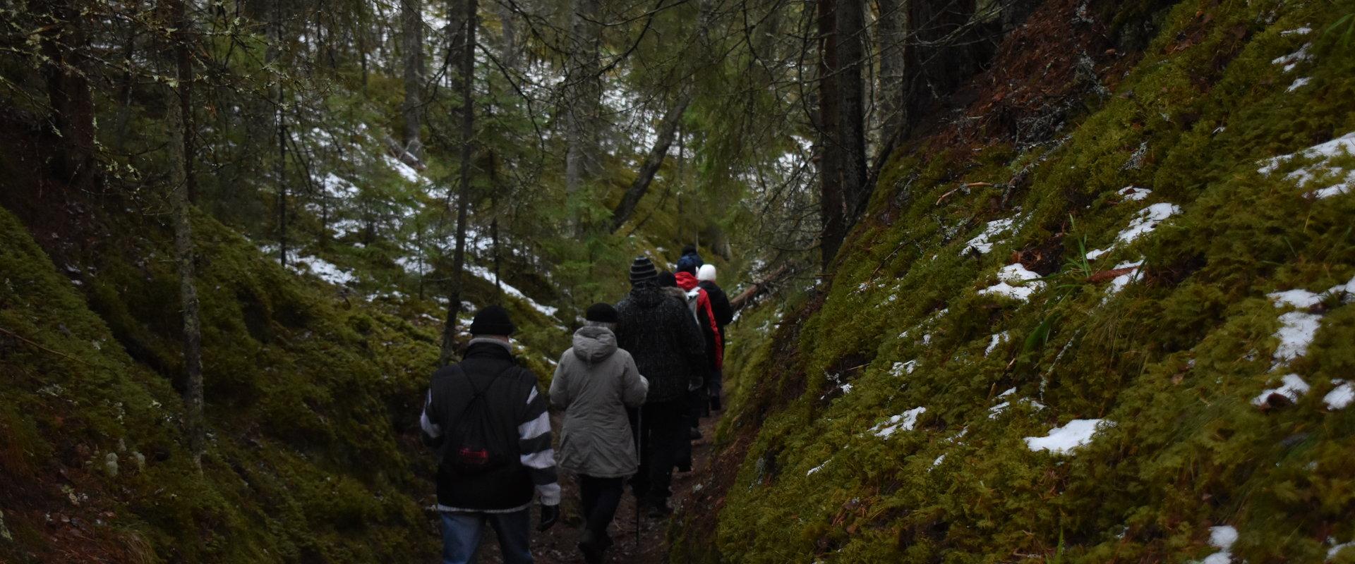 Visit Lahemaa retk: Nõmmeveski - Lahemaa rahvuspargi Häll