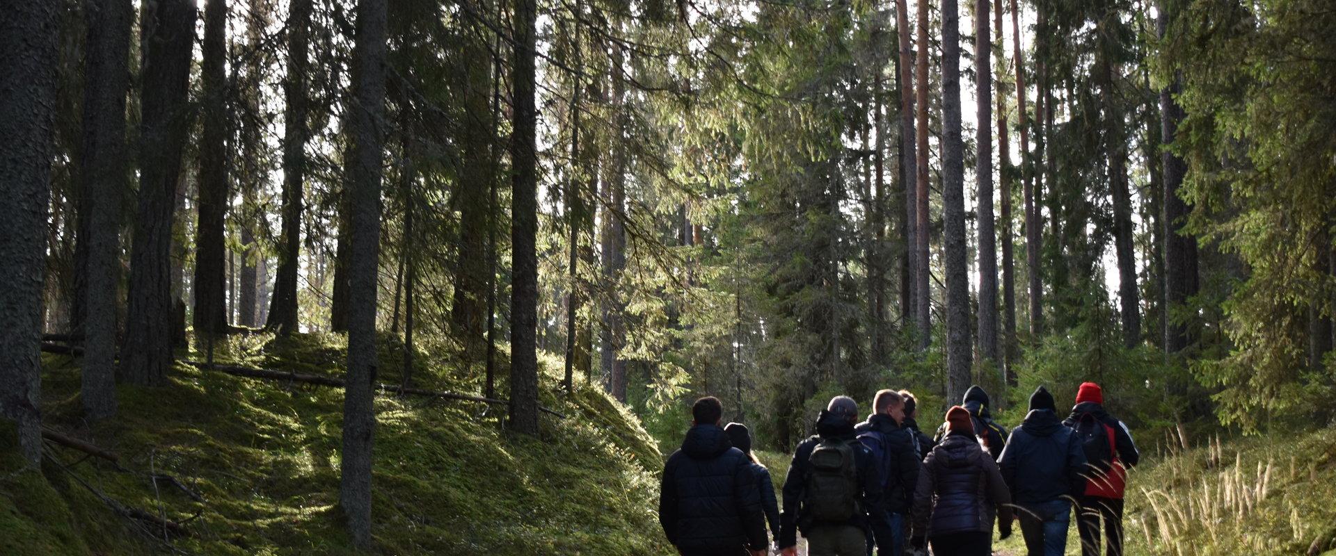 Visit Lahemaa retk Valgejõe ürgorus