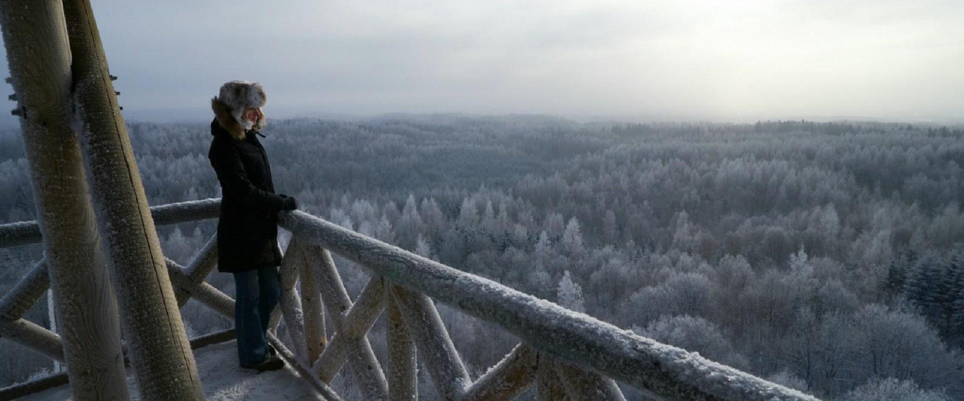 winter view from Harimäe observation tower