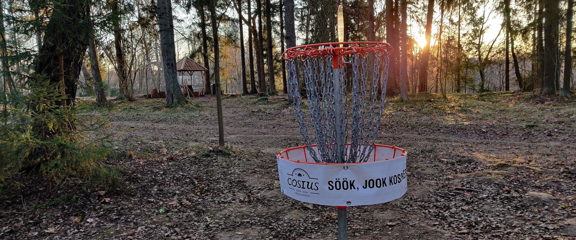 Cosius Pubi disc-golf