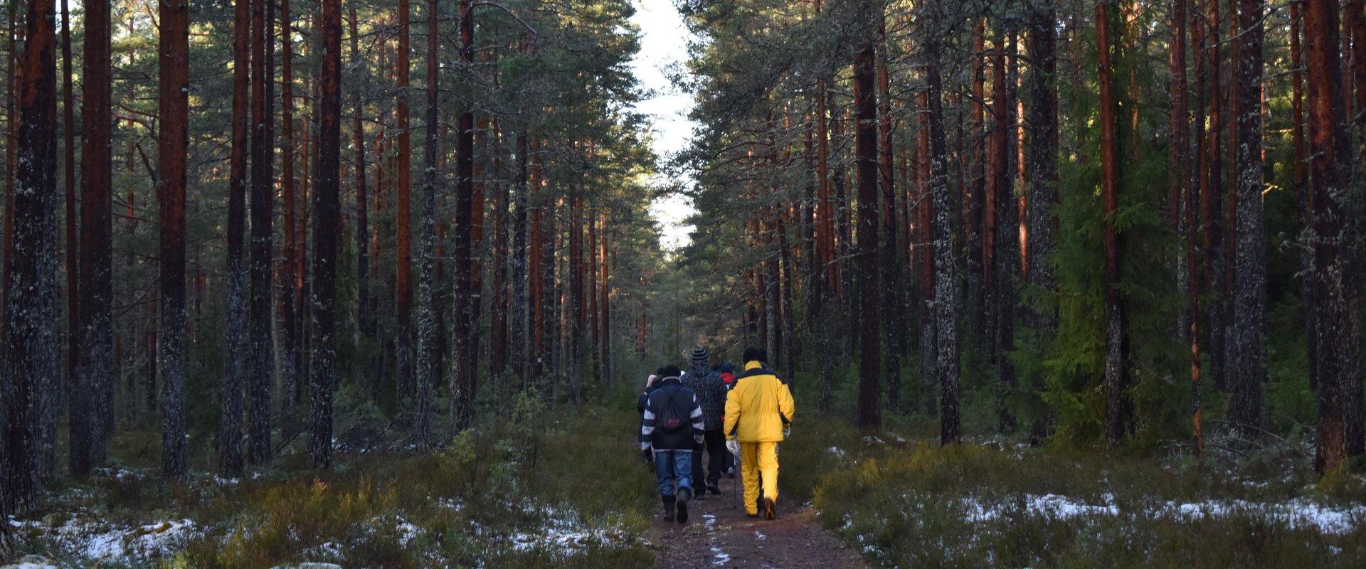 Visit Lahemaa retk: Nõmmeveski - Lahemaa rahvuspargi Häll