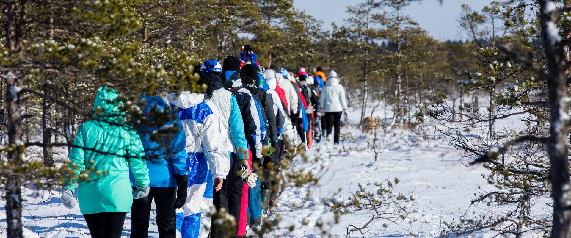 The winter snowshoe hike takes the participants to discover Männikjärve bog in the Endla Nature Reserve. The purpose of the hike is to look for bog po