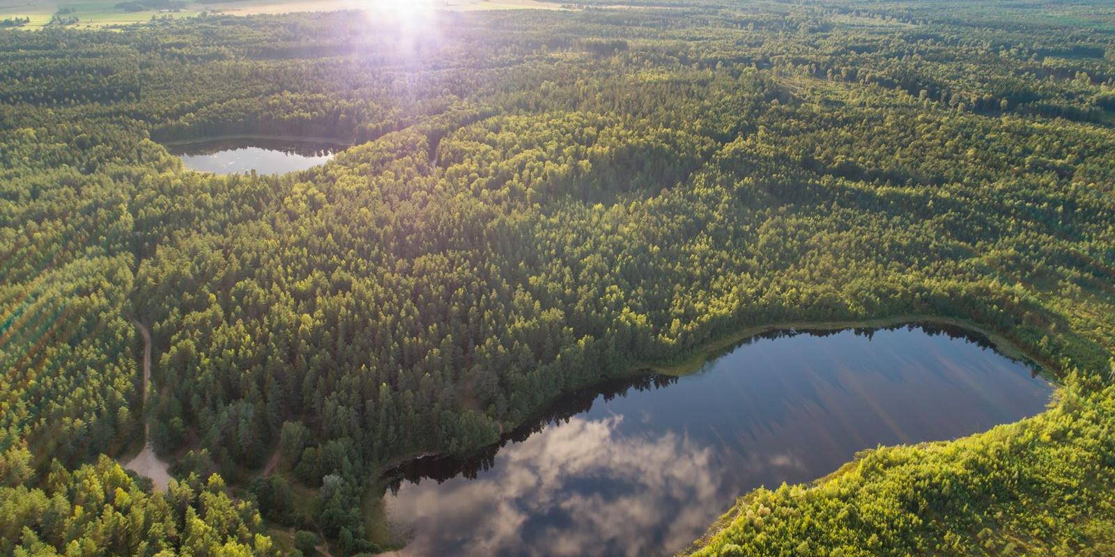 Kurtna järvestik linnulennult