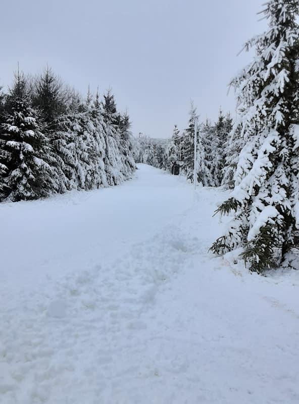 Kuningamäe terviserajad