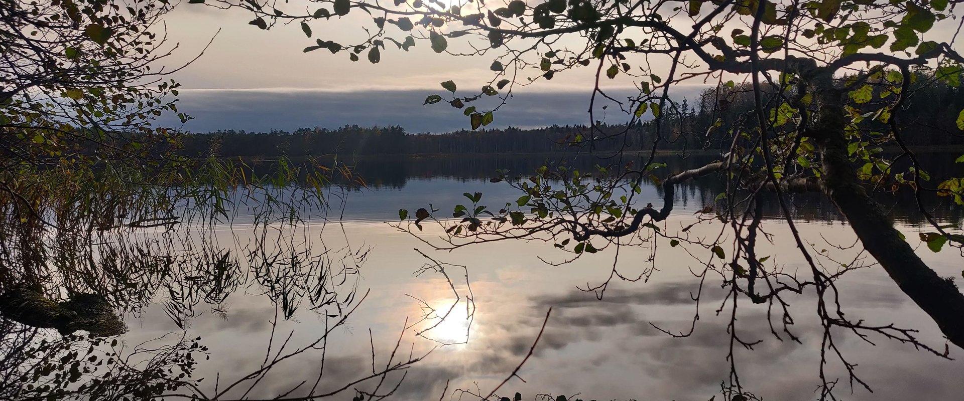 Matk ümber Saare järve