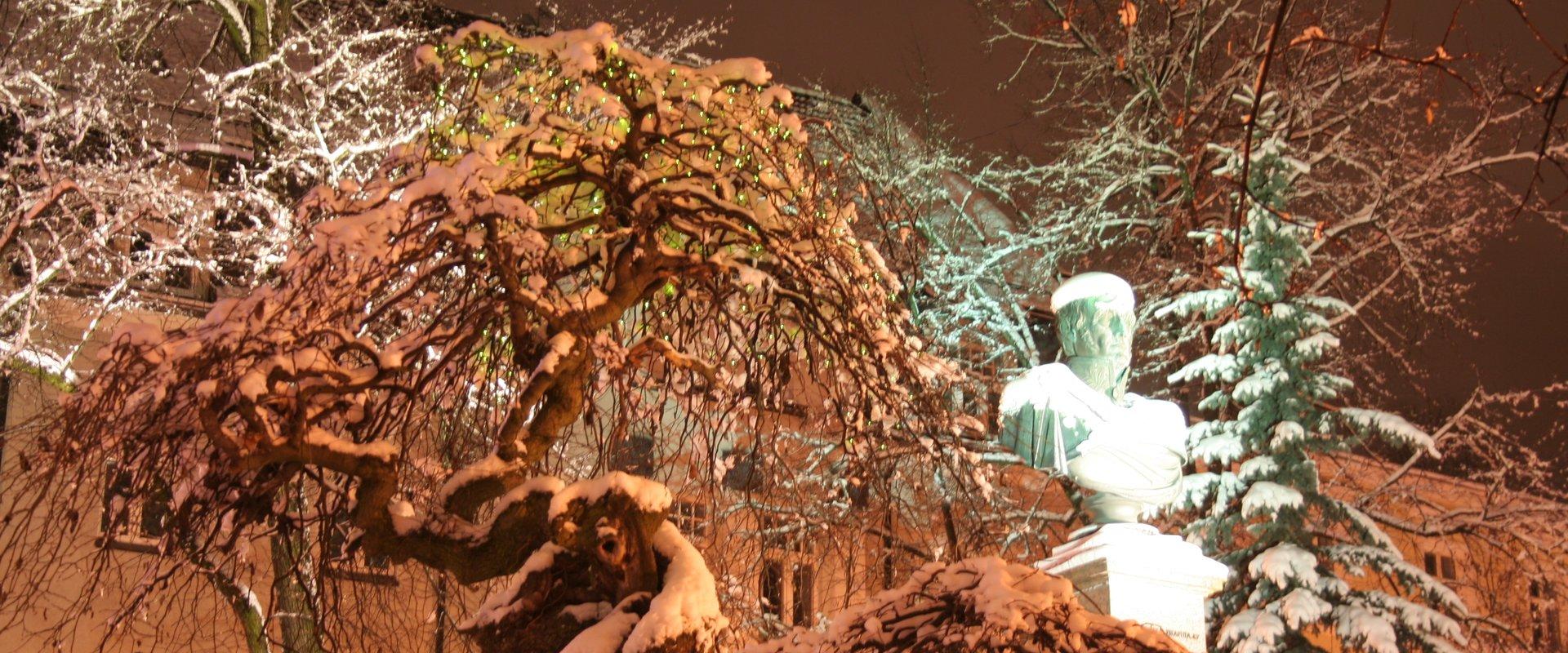 Denkmal für Barclay de Tolly in einem schneereichen Winter