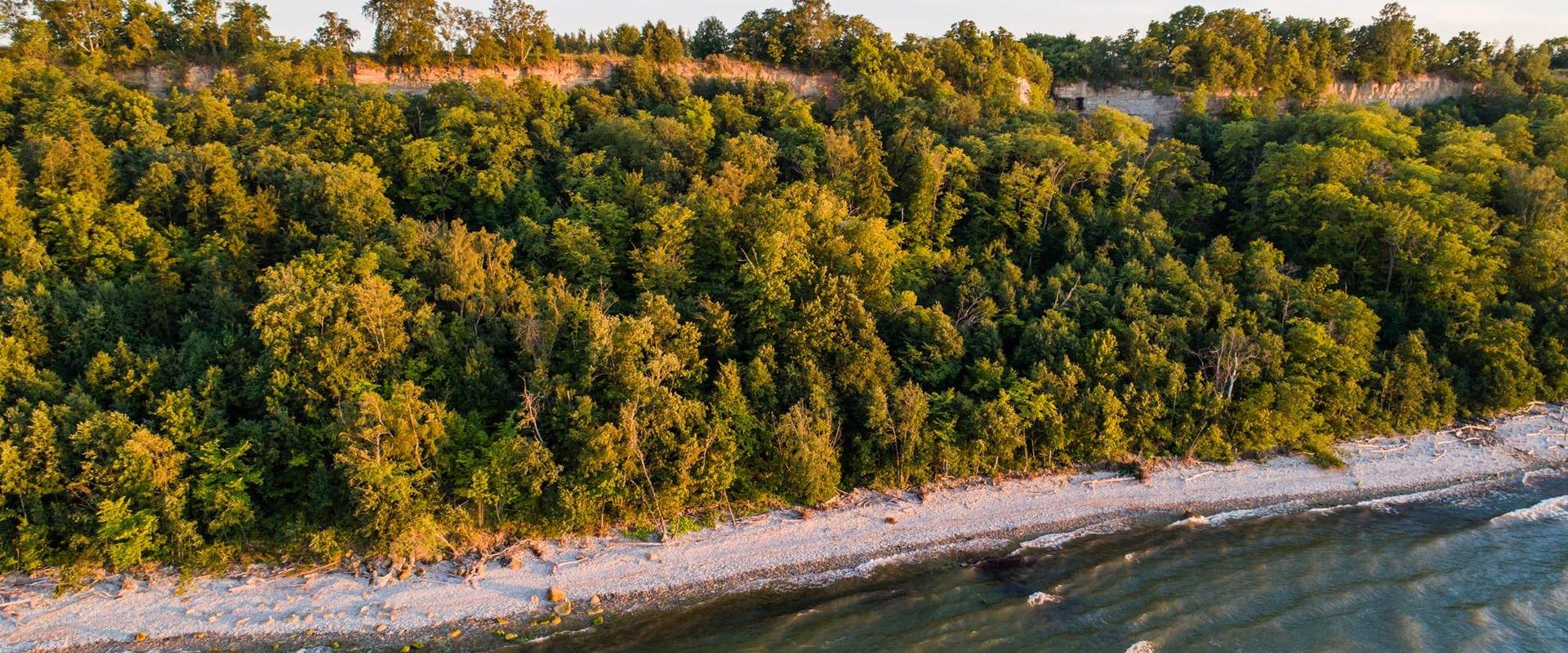 Ontika Limestone cliff