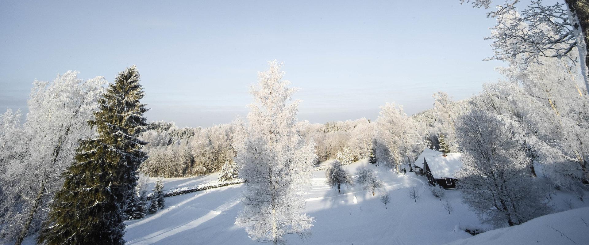 Kullipera Puhkemaja; loodus