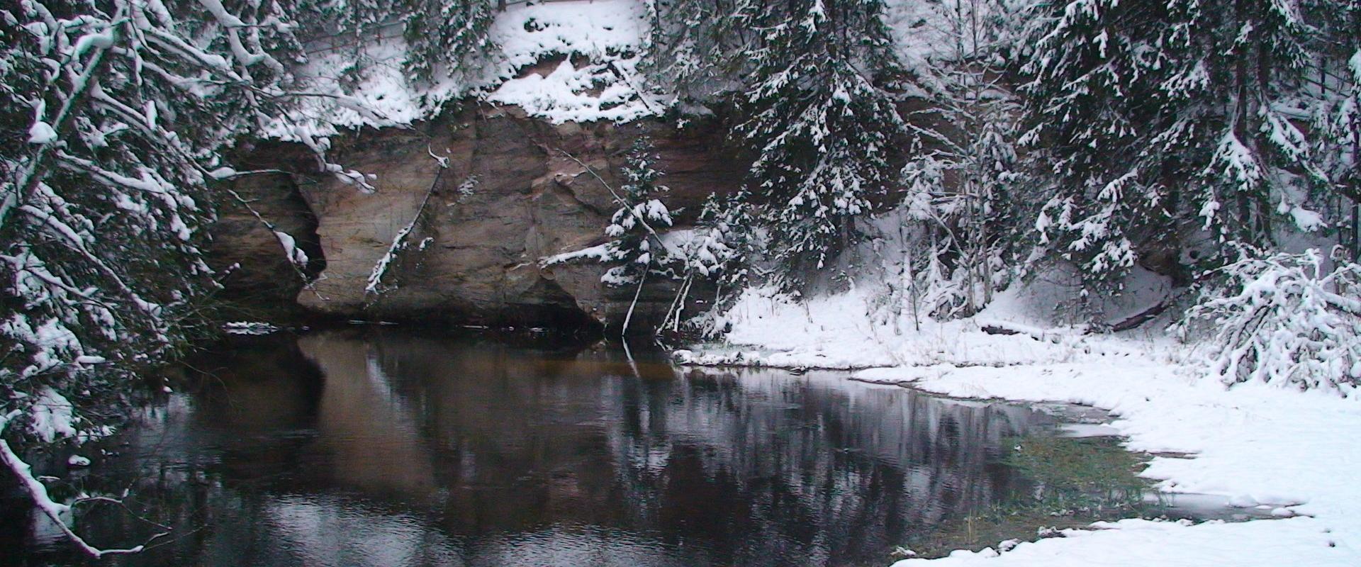 Tammekännu Puhkemaja