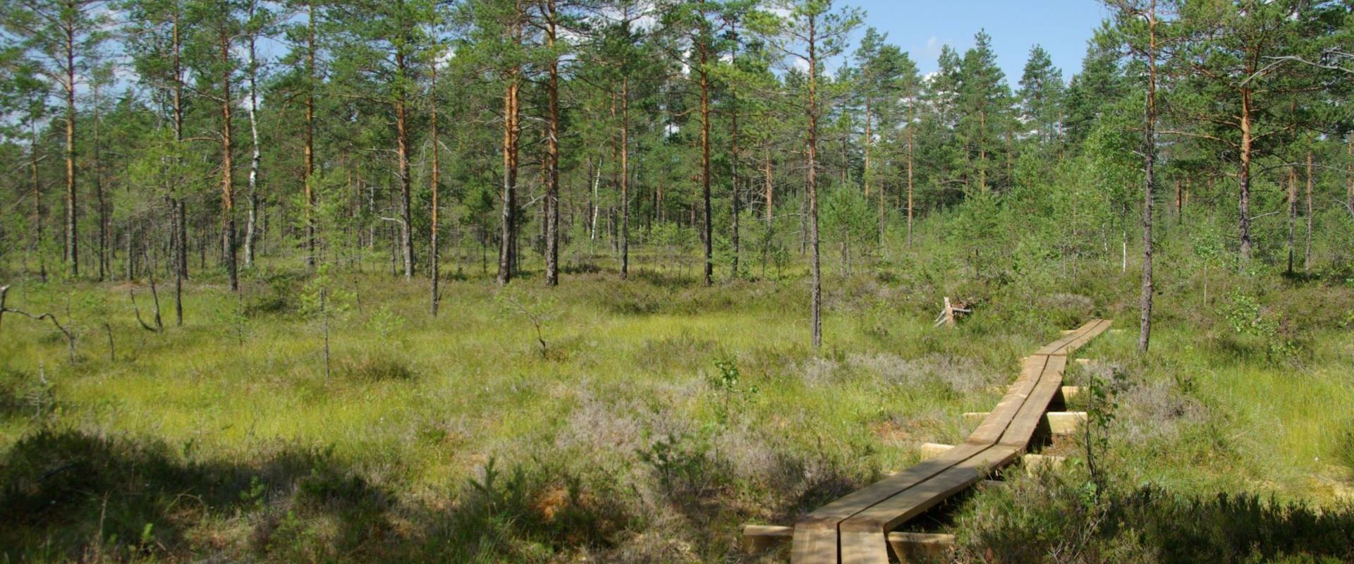 Sõõriksoo nature trail