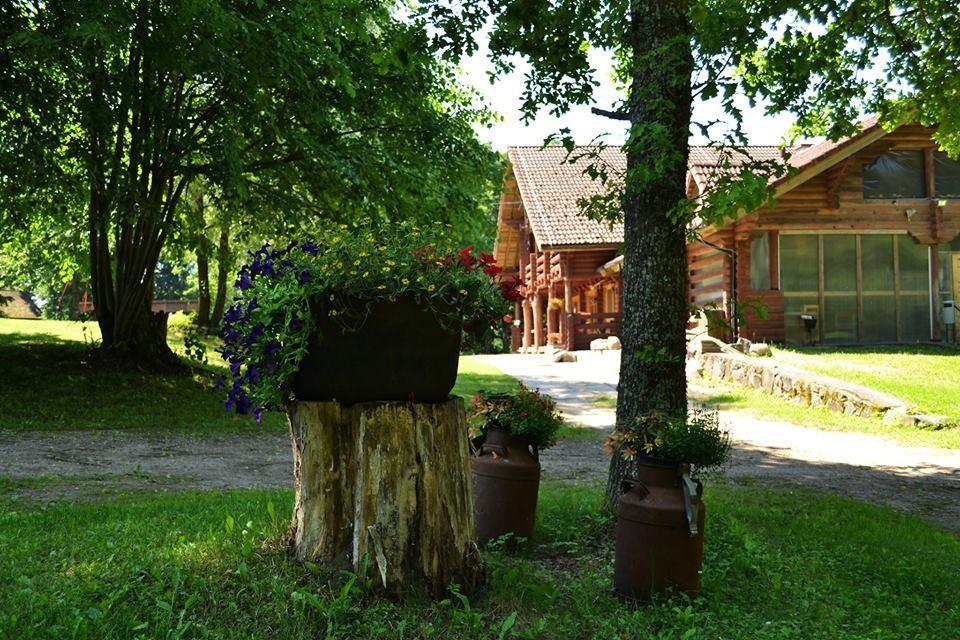 Lasita Puhkemaja hoov Tartumaal, suvised lilled ja rohelus ümbritsemas palkmaja ning kivist rajateed